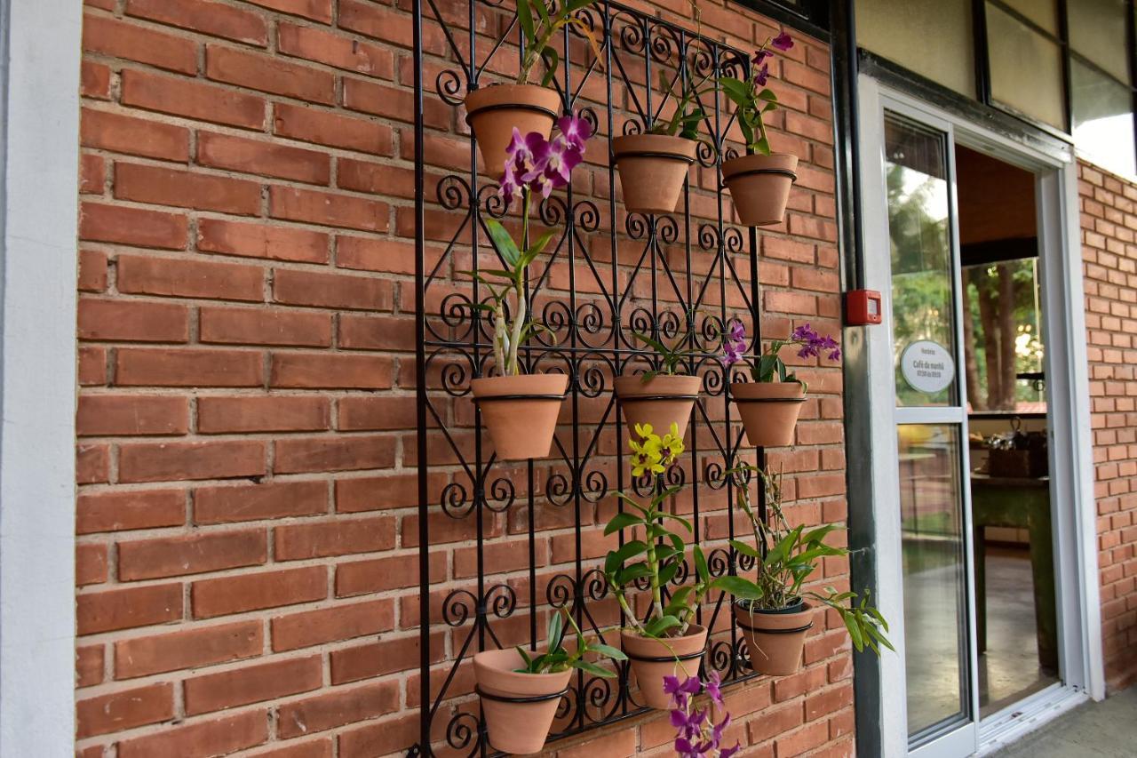 Casa de hóspedes Flores